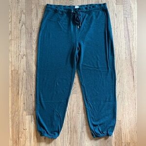 Woman’s Teal Jogger Pants